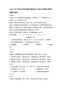 2023-2024学年山东省济南市莱芜区九年级上学期化学期中试题及答案