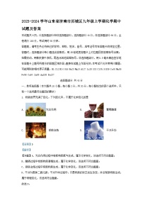 2023-2024学年山东省济南市历城区九年级上学期化学期中试题及答案