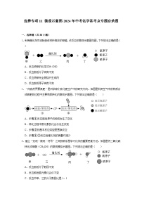 选择专项11 微观示意图共30题-2024年中考化学常考点专题必杀题（广东专用）（含答案）