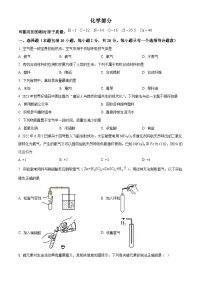 2023年甘肃省武威市中考化学真题试卷（解析版）