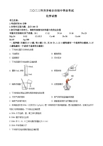 2023年黑龙江省齐齐哈尔市中考化学真题试卷（解析版）