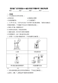 四川省广元市苍溪县2024届九年级下学期中考二模化学试卷(含答案)