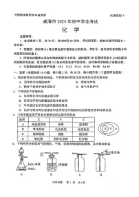 2024年山东省威海市中考化学真题