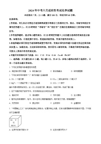2024年广东省佛山市南海实验中学中考三模化学试题