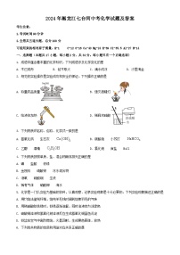 2024年黑龙江七台河中考真题化学试题及答案