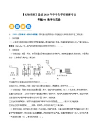 专题01 数字化实验-【实验攻略】备战2024年中考化学实验新考法（含答案）