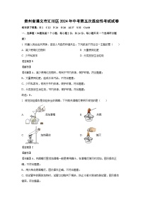 [化学]贵州省遵义市汇川区2024年中考第五次适应性考试试卷(解析版)