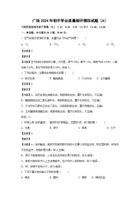 [化学]广西2024年初中中考学业质量测评模拟试题(A)(解析版)