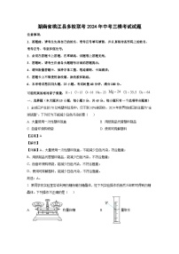 [化学][三模]湖南省桃江县多校联考2024年中考三模考试试题(解析版)