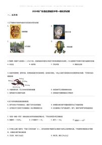 [化学][一模]2024年广东清远清城区中考一模化学试卷