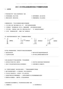 [化学][期中]2023_2024学年山东烟台莱州市初三下学期期中化学试卷