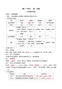 第十一单元 盐 化肥-【大单元复习】2024年中考化学一轮复习必考知识梳理与考法点拨（人教版）（含答案）