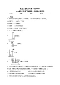 黑龙江省大庆市第一中学2023-2024学年九年级下学期第二次月考化学试卷(含答案)