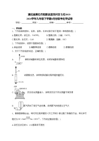 湖北省黄石市阳新县富池片区七校2023-2024学年九年级下学期4月份联考化学试卷(含答案)