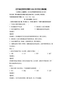 [化学][三模]辽宁省辽阳市灯塔市2024年中考三模试题(解析版)