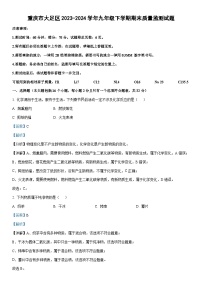 [化学][期末]重庆市大足区2023-2024学年九年级下学期期末质量监测试题(解析版)