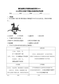 湖北省黄石市阳新县城区四校2023-2024学年九年级下学期4月份联考化学试卷(含答案)