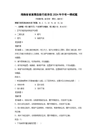 [化学][一模]海南省省直辖县级行政单位2024年中考一模试题(解析版)