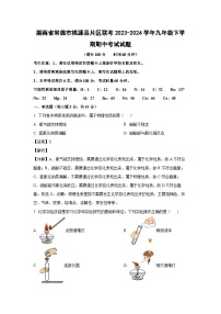 [化学][期中]湖南省常德市桃源县片区联考2023-2024学年九年级下学期期中考试试题(解析版)