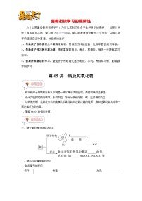 第05讲 钠及其氧化物-【暑假衔接】新高一化学暑假讲义+习题（人教版2019必修第一册）