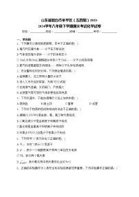 山东省烟台市牟平区（五四制）2023-2024学年八年级下学期期末考试化学试卷(含答案)