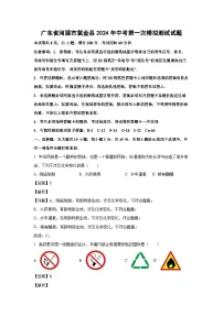 [化学]广东省河源市紫金县2024年中考第一次模拟测试试题(解析版)