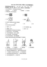 江苏省苏州市园区星澄学校2023-2024学年九年级上学期化学12月月考卷