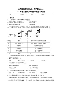 山东省淄博市桓台县（五四制）2023-2024学年八年级上学期期中考试化学试卷(含答案)