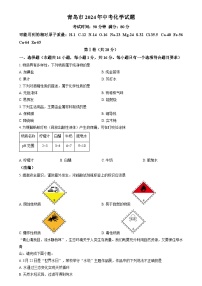 2024年山东省青岛市中考真题化学真题（原卷版+解析版）