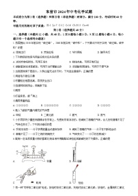 2024年山东省东营市中考真题化学真题（原卷版+解析版）