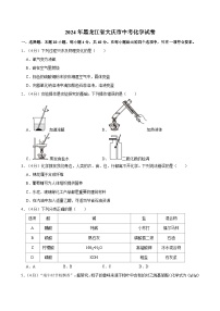 2024年黑龙江省大庆市中考化学试卷（含答案）