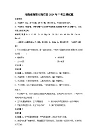 [化学][三模]河南省南阳市南召县2024年中考试题(解析版)
