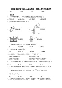 新疆喀什地区喀什市2024届九年级上学期12月月考化学试卷(含答案)