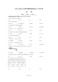 [化学]2024北京人大附中朝阳学校初三下学期5月月考化学试卷