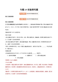 2024年中考化学真题分类汇编（全国通用）专题19 实验探究题（第02期）（解析版）