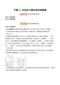 2024年中考化学真题分类汇编（全国通用）专题21 信息给予题和阅读理解题（第02期）（原卷版）