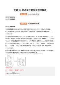 2024年中考化学真题分类汇编（全国通用）专题21 信息给予题和阅读理解题（第02期）（解析版）