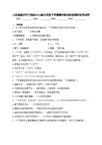 山东省临沂市兰陵县2024届九年级下学期期中阶段质量调研化学试卷(含答案)