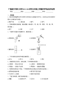 广西南宁市第三中学2023-2024学年九年级上学期开学考试化学试卷(含答案)