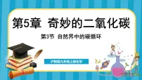 初中化学沪教版（2024）九年级上册第3节 自然界中的碳循环课文配套课件ppt