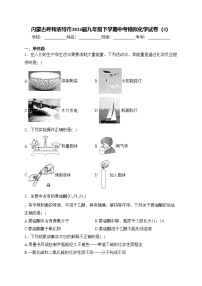 内蒙古呼和浩特市2024届九年级下学期中考模拟化学试卷（2）(含答案)