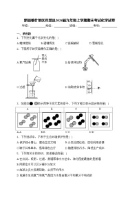 新疆喀什地区巴楚县2024届九年级上学期期末考试化学试卷(含答案)