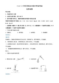 [化学]2022年黑龙江省齐齐哈尔市中考真题化学试卷(原题版+解析版)