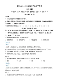[化学]2023年江苏省泰州市中考真题化学试卷(原题版+解析版)