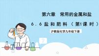 沪教版 (上海)九年级第二学期6.2 盐和肥料一等奖ppt课件