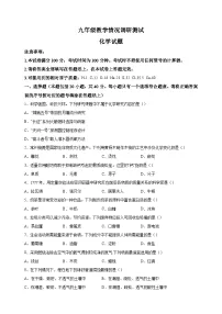 2024年江苏省常州市中考一模化学试卷（含答案解析）