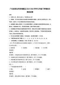 [化学]广东省茂名市滨海新区2023-2024学年九年级下学期四月测试试卷(解析版)