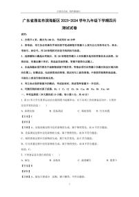 [化学]广东省茂名市滨海新区2023-2024学年九年级下学期四月测试试卷(解析版)