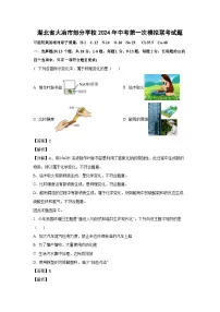[化学]湖北省大冶市部分学校2024年中考第一次模拟联考试题(解析版)