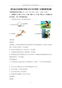 [化学]湖北省大冶市部分学校2024年中考第一次模拟联考试题(解析版)